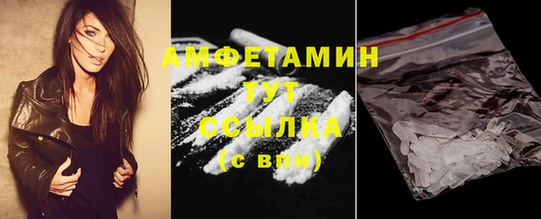 стаф Шадринск