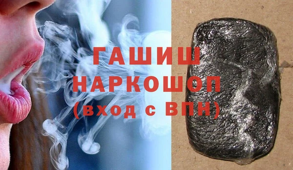 индика Краснослободск