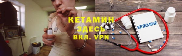 индика Краснослободск