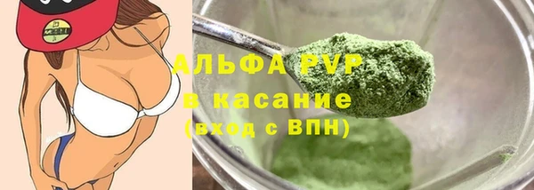 индика Краснослободск