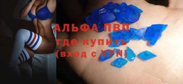 индика Краснослободск