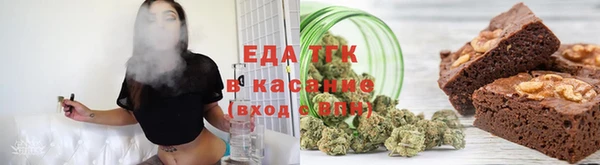 индика Краснослободск