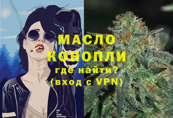 индика Краснослободск