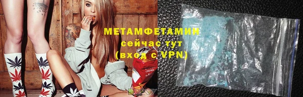 индика Краснослободск