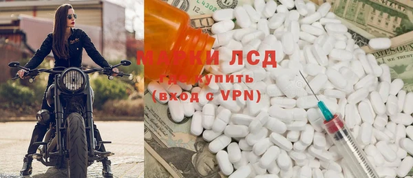 индика Краснослободск