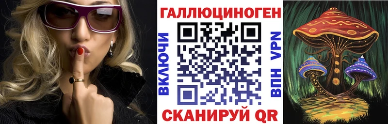 Псилоцибиновые грибы Cubensis  Холм 